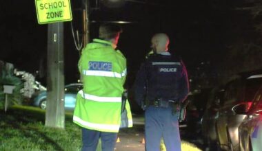 Person hospitalised after being stabbed in Auckland's Glenfield