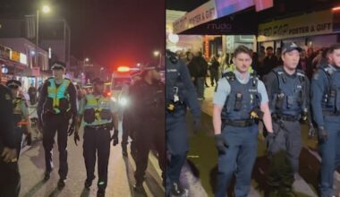 Multiple arrests after bar fight on Auckland's K'Road