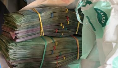 Over $800,000 forfeited by drug-dealing Wairoa couple