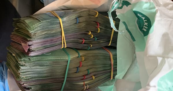 Over $800,000 forfeited by drug-dealing Wairoa couple