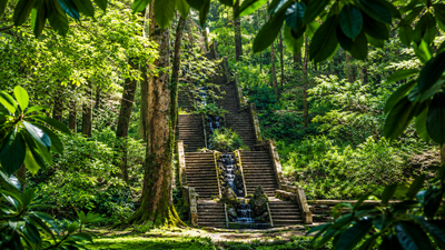 Portugal's ancient Bussaco National Forest has become the Iberian Peninsula's first therapeutic forest, and the reason goes beyond its trees