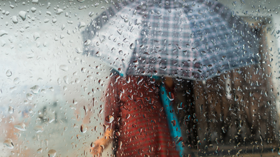 Why your body is more vulnerable during the rainy season; Ayurvedacharya shares the diet, daily habits, and tips that can help strengthen immunity naturally