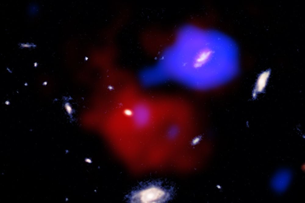 This image the red potato galaxy inside its cloud of gas, coloured red in this image. The blue gas contains another galaxy, and the extended blue region is the x-ray jet from the galaxy's AGN. The red potato is quiescent, despite being surrounded by gas, and researchers think it's because of the jet from the neighbouring galaxy. Image Credit: X-ray: NASA/CXC/Univ. Milano-Bicocca/W. Wang et al.; Infrared: NASA/ESA/CSA/STScI; Radio: ESO/NRAO/NAOJ/ALMA; Image processing: NASA/CXC/SAO/N. Wolk &amp; P. Edmonds