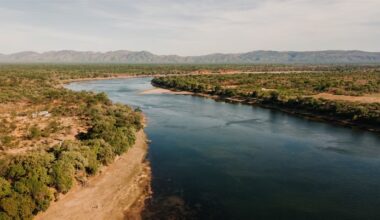 How Africa is turning wild landscapes into appreciating assets