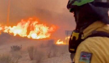 Wildfires in southern Spain kill at least 12 | News