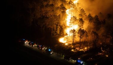 Wildfires spread in Greece and Turkiye as EU chief urges climate action | Climate Crisis News