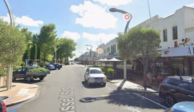 Person seriously injured in dog attack in Hawke's Bay