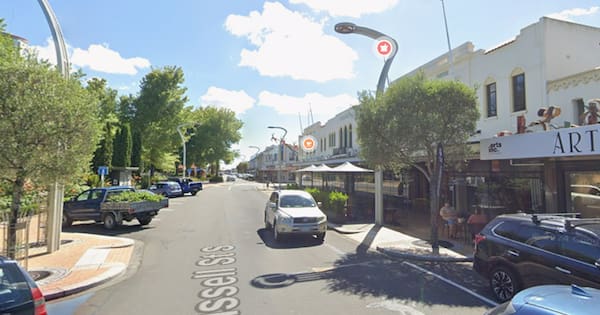 Person seriously injured in dog attack in Hawke's Bay