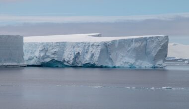 Stunning view of a massive iceberg floating in the serene Antarctic waters.
