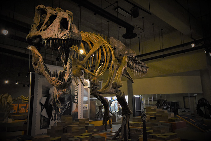 scotty the t rex