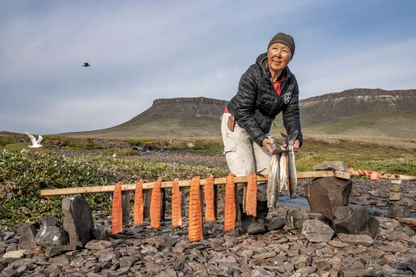 New Scientist. Science news and long reads from expert journalists, covering developments in science, technology, health and the environment on the website and the magazine.