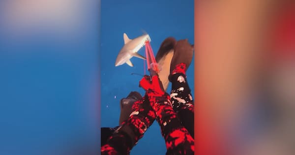 Kiwi shares footage of moment he was bitten in Fiji shark attack