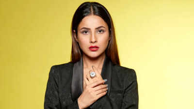 Shehnaaz Gill opens up on why Bollywood offers dried up: 'I've become star in the Punjabi film industry'