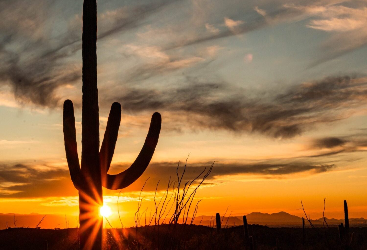 For Most Retirees, Only One Arizona City Actually Makes Sense. Here’s Which.