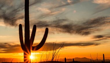 For Most Retirees, Only One Arizona City Actually Makes Sense. Here’s Which.