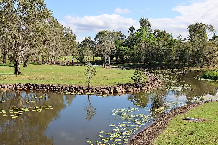 Boardwalk over the Tyto Wetlands near Ingham, Queensland.