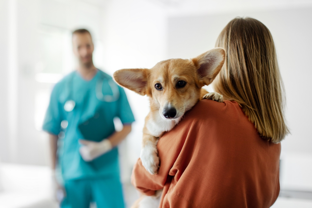 Interview: Kyrexa launches £1.5m funding round for revolutionary Rimcazole canine cancer treatment