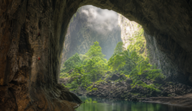 Explorers who lowered themselves into a Vietnamese cave found a passage so vast it holds its own jungle, its own river and its own weather, a hidden world large enough to swallow a skyscraper