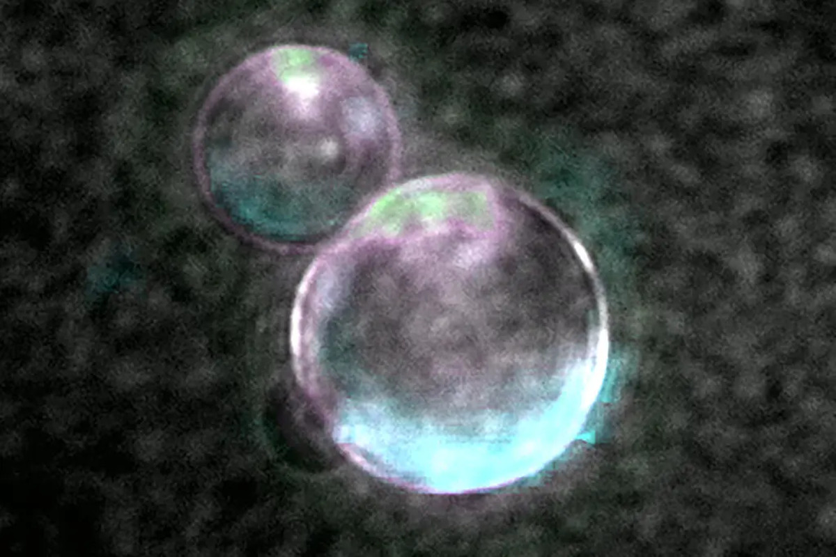 Image of SpudCell’s liposomes. Two like two bubble-like objects on a black background.
