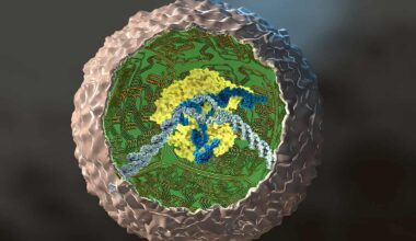 Scientists Turned Human Cells into Tiny Biological Computers
