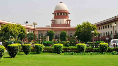 SC says it will rule on plight of patients who can't afford life-saving drugs & judicial expediency in such cases