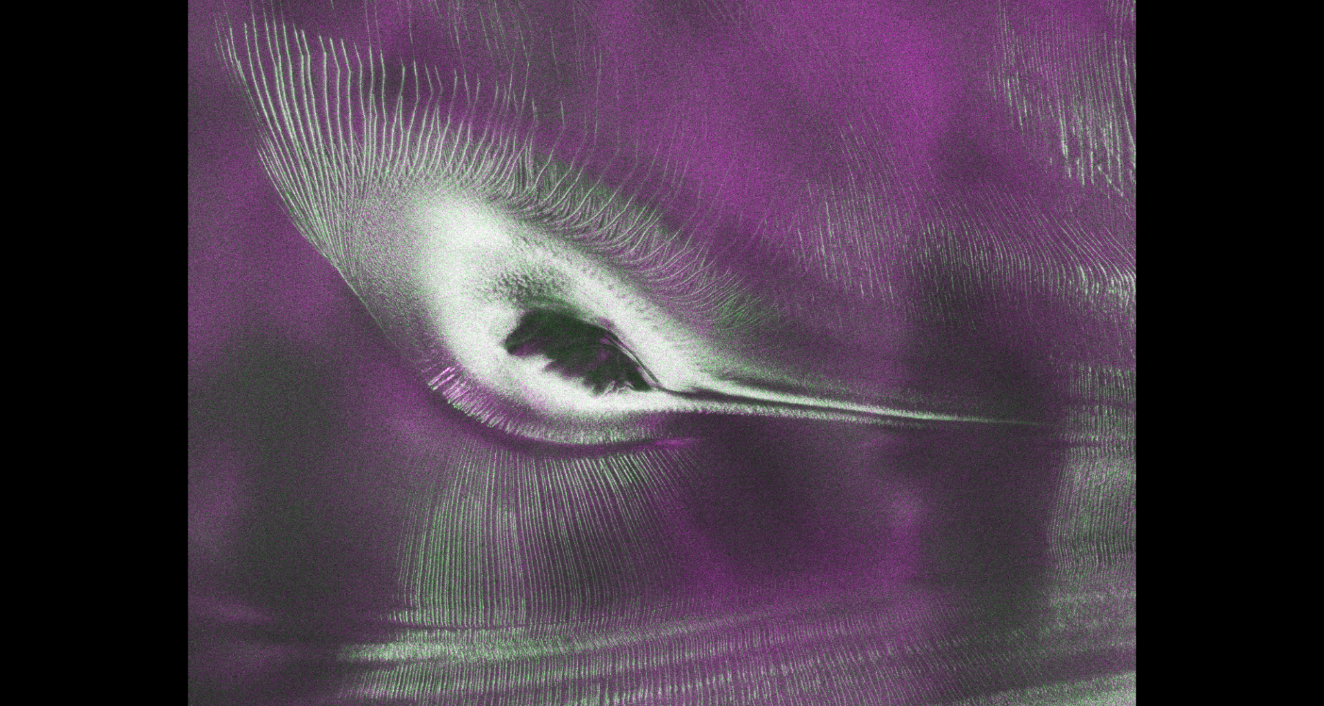 Satellite spots a 'hummingbird' in Antarctica photo of the day for July 23, 2026