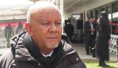 Te Pāti Māori needs to balance protest with relationships – Flavell