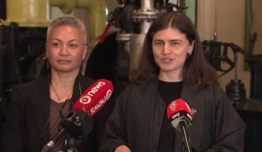 Greens pledge 'Kiwipower' to boost renewables and cut power bills