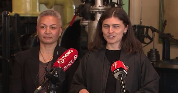 Greens pledge 'Kiwipower' to boost renewables and cut power bills