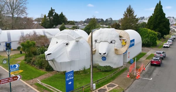 Tirau's sheepdog, ewe and ram buildings are baa-ck on the market