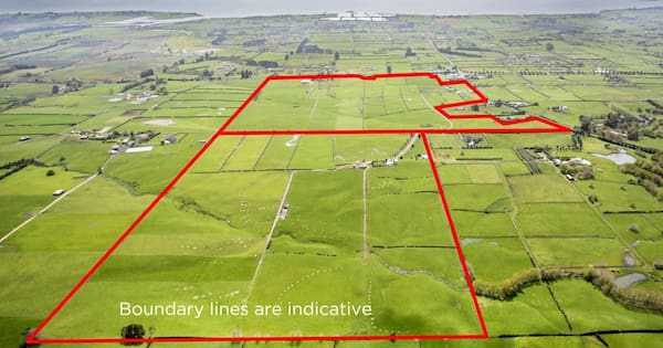 Auckland secures 100ha plot for cemetery despite opposition