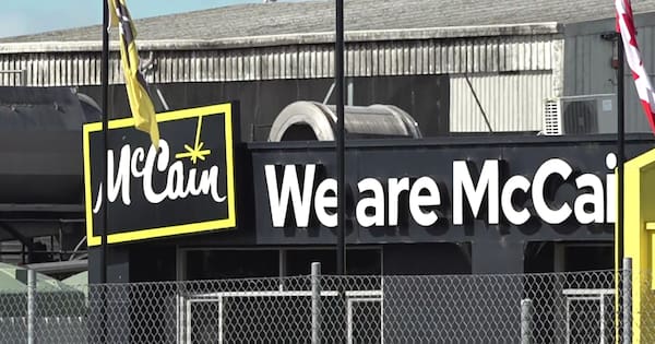 Hawke's Bay growers abandon bid for McCain vegetable processing facility