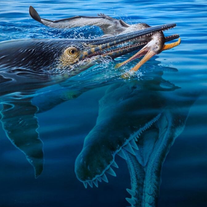Ancient 'Turducken' Fossil Reveals Sea Monsters Eating Each Other