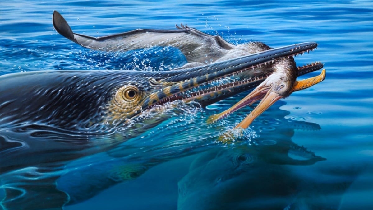 Like an Ancient 'Turducken': Fossil Captures Cretaceous Sea Monsters Devouring Each Other : ScienceAlert