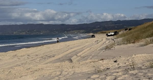 Plan to ban vehicles from 4WD beach hotspot