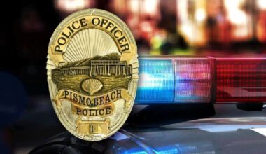 Police say bear spotted in Pismo Beach neighborhood near James Way