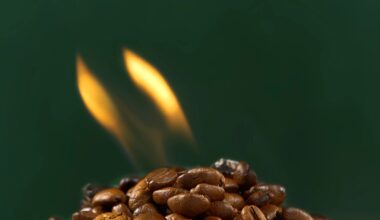 Coffee grounds become biofuel using flame plasma pyrolysis