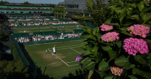 Wimbledon: Junior player disqualified after throwing racket into stands