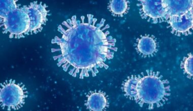 Measles case in Palmerston North points to hidden cases – Health NZ