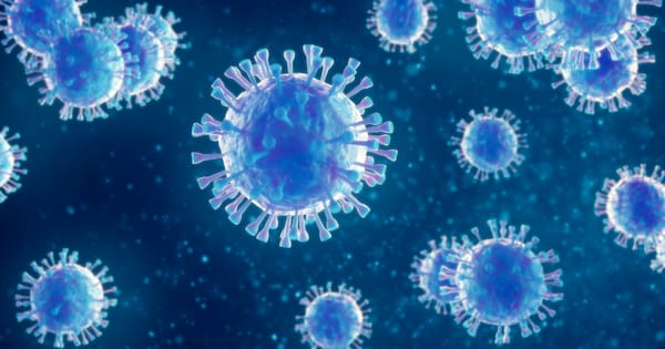 Measles case in Palmerston North points to hidden cases – Health NZ