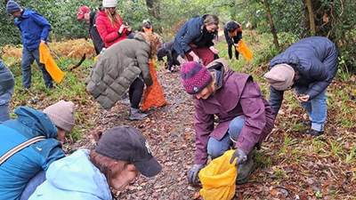 Around 100 volunteers collected 11 million seeds by hand across Scotland; nearly 8 million native trees are now being grown to rebuild its disappearing Atlantic rainforest