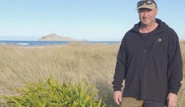 'Environmental nightmare': Toxic weed spreads on dunes in Hawke's Bay