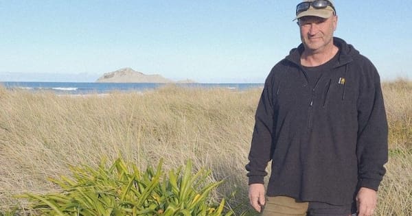 'Environmental nightmare': Toxic weed spreads on dunes in Hawke's Bay