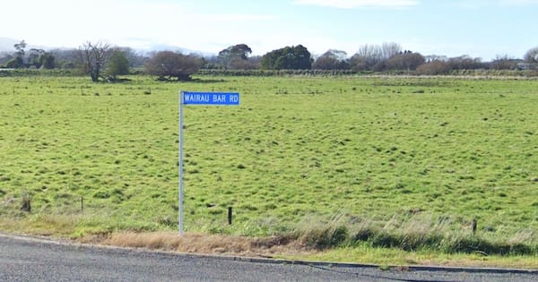 Funeral service to be held for stillborn found on Blenheim roadside