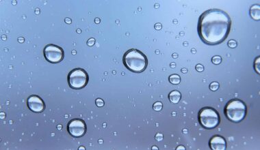 Is Water a Mix of Two Liquids? AI Finds Evidence in 74 Million Molecular Snapshots