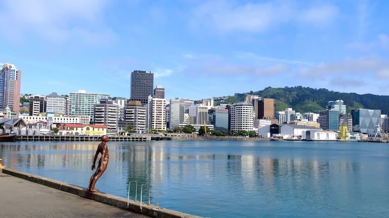Wellington on one of those rare "good days".