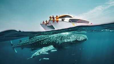 Forget Doha’s skyline, nothing prepares travellers for what appears in Qatar’s waters…
