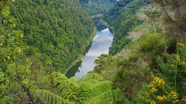Manawatū and Whanganui district councils have both signalled they won't be submitting an amalgamation proposal by the deadline.