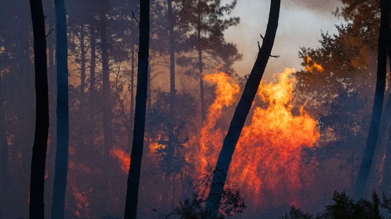 Wildfires advance near Le Proge region, western France, Thursday, July 23, 2026.