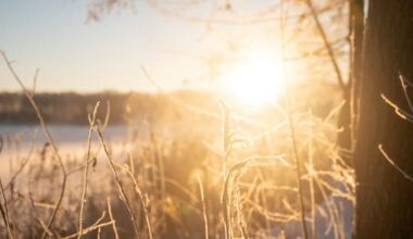 Temperatures to climb after frosty first week of school holidays